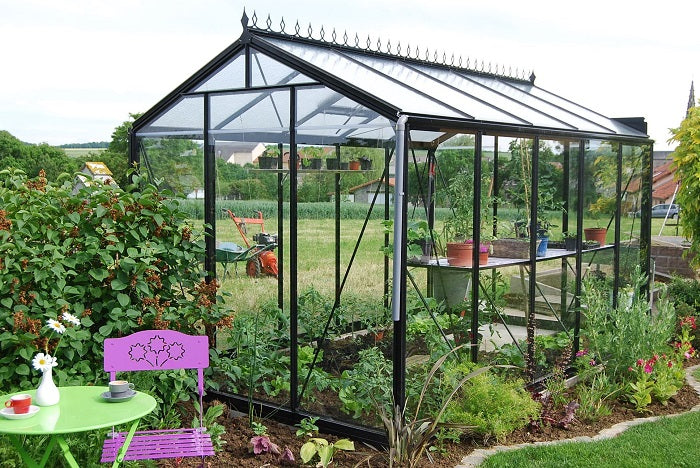 Serre ACD R205H Blackline - 2,32 x 3,71m - 8,61 m²