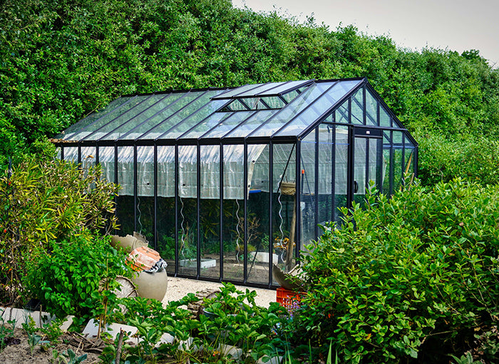 belle-serre-verre-acd-Victorienne-306