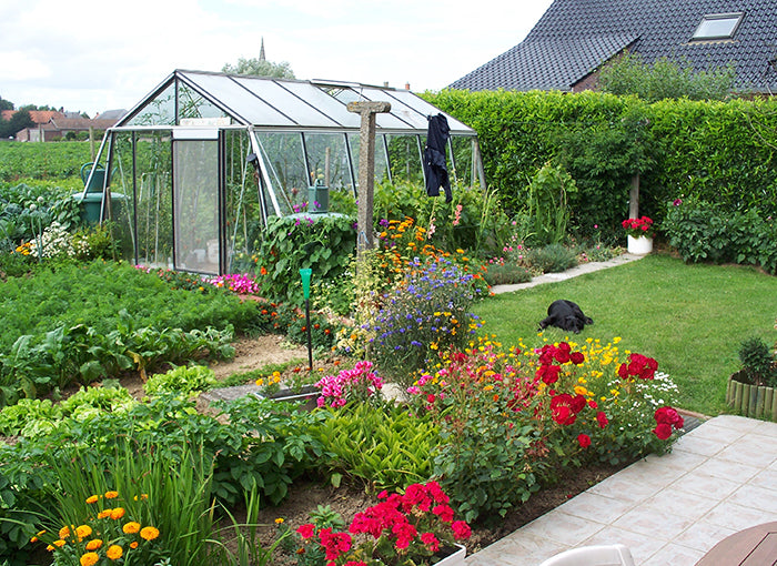 Serre ACD S206H Aluline - 3,80 x 4,45m - 16,91 m²