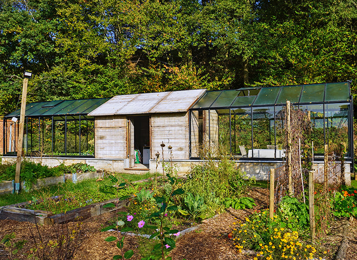 Serre ACD R307H Blackline - 3,06 x 5,19m - 15,88 m²