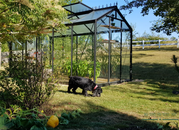 Serre de jardin en verre ACD R205 R�tro