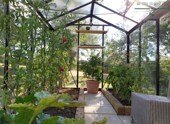 Serre de jardin en verre ACD R205 R�tro