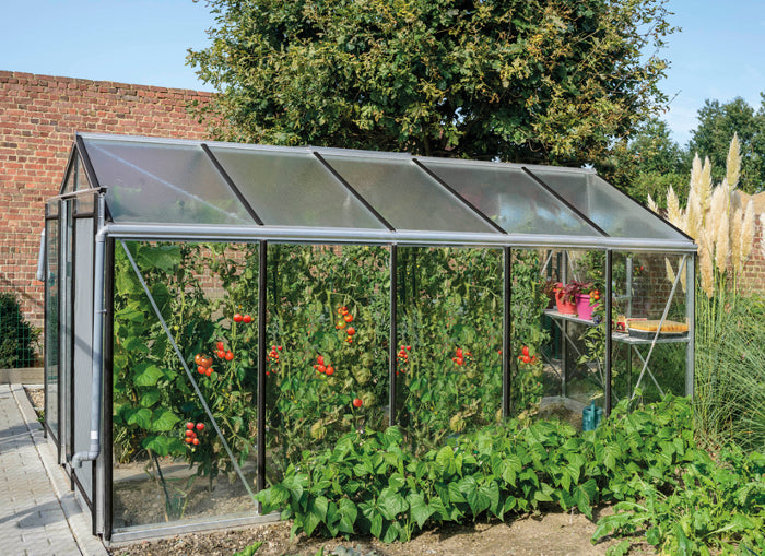 R205h-alu-tomates-acd