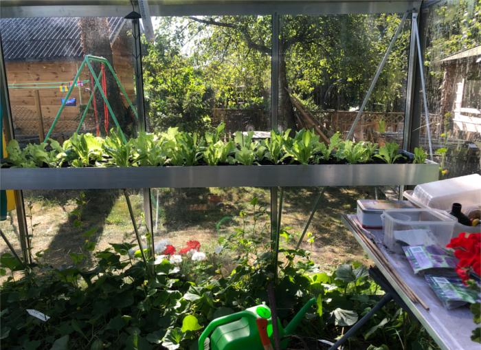 Am�nagement serre de jardin en verre