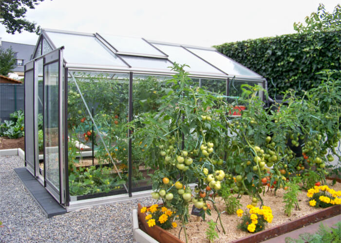 serre-jardin-acd-r204h