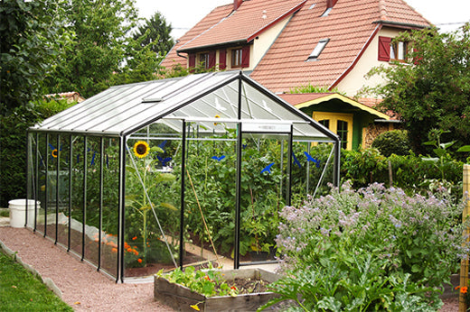 Le Top 10 des Erreurs de Débutant avec une Serre de Jardin