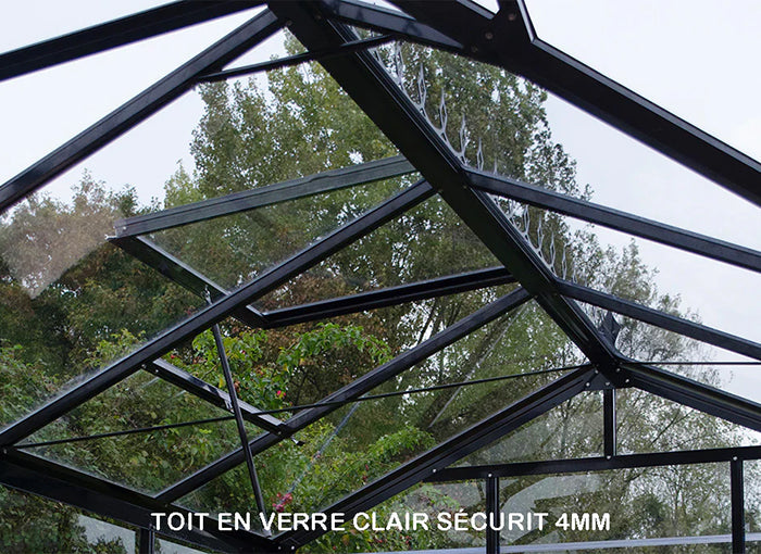 Verre de toit transparent