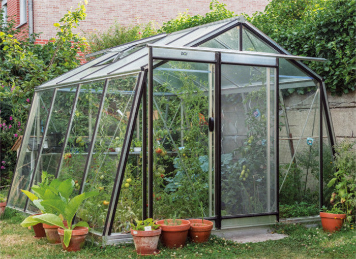 Serre de jardin en verre ACD S104