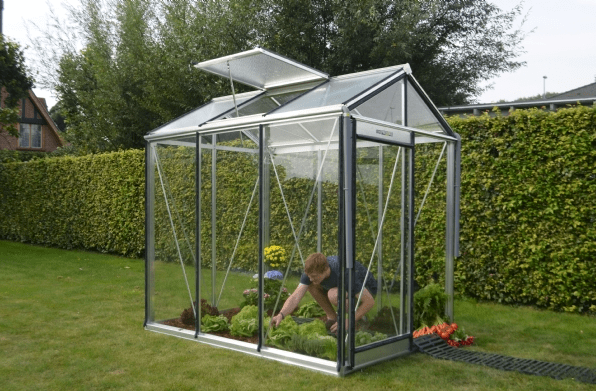 Petite serre de jardin en verre