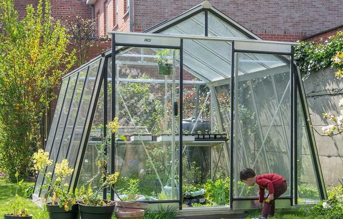 Serre de jardin en verre ACD S104
