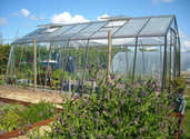 Serre De Jardin En Aluminium Et Polycarbonate 4mm - Tailles De 230x180x195cm - Porte Coulissante, Fenêtre Toit Réglable - 3